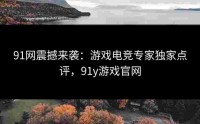 91网震撼来袭：游戏电竞专家独家点评，91y游戏官网