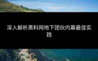 深入解析黑料网地下团伙内幕最佳实践