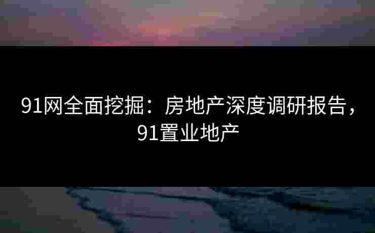 91网全面挖掘：房地产深度调研报告，91置业地产