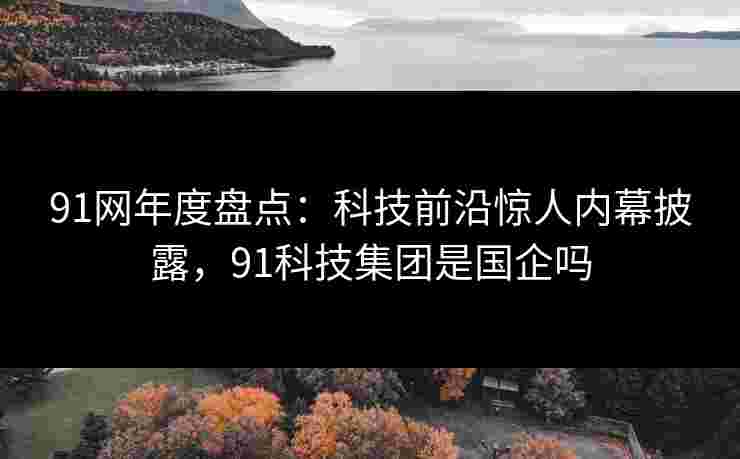 91网年度盘点：科技前沿惊人内幕披露，91科技集团是国企吗