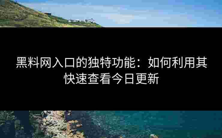 黑料网入口的独特功能：如何利用其快速查看今日更新