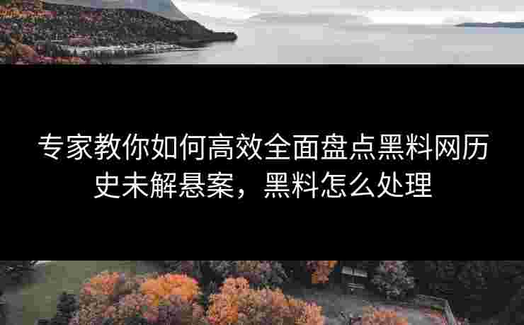 专家教你如何高效全面盘点黑料网历史未解悬案，黑料怎么处理