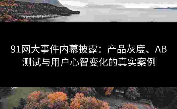 91网大事件内幕披露：产品灰度、AB测试与用户心智变化的真实案例