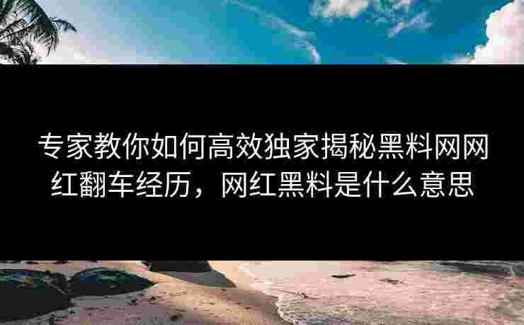专家教你如何高效独家揭秘黑料网网红翻车经历，网红黑料是什么意思
